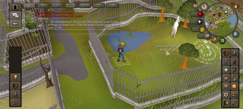 Example screenshot Mobile